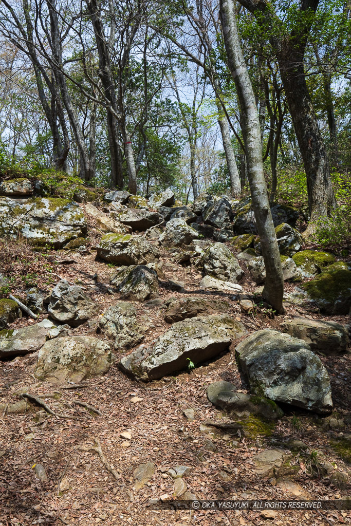 小谷城の山王丸石垣