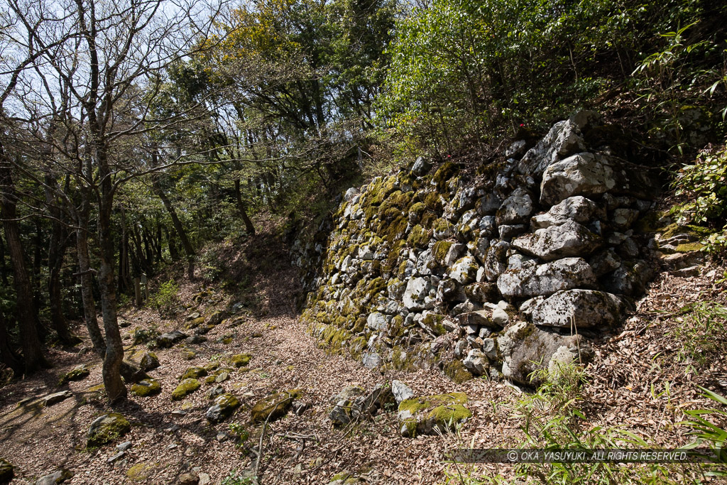 小谷城の大石垣