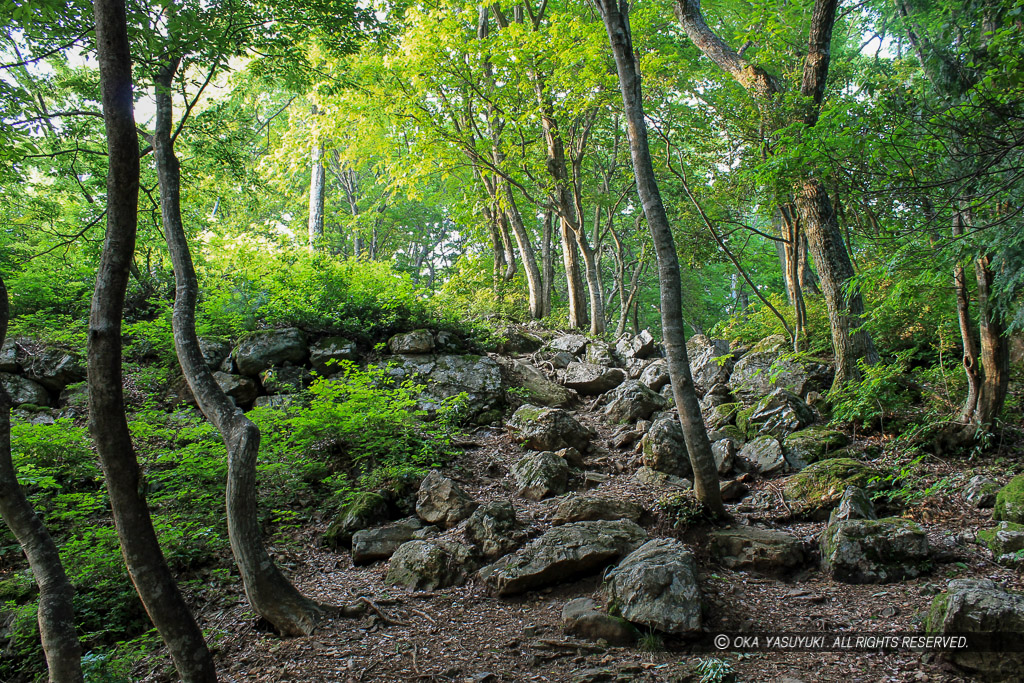 小谷城の山王丸石垣