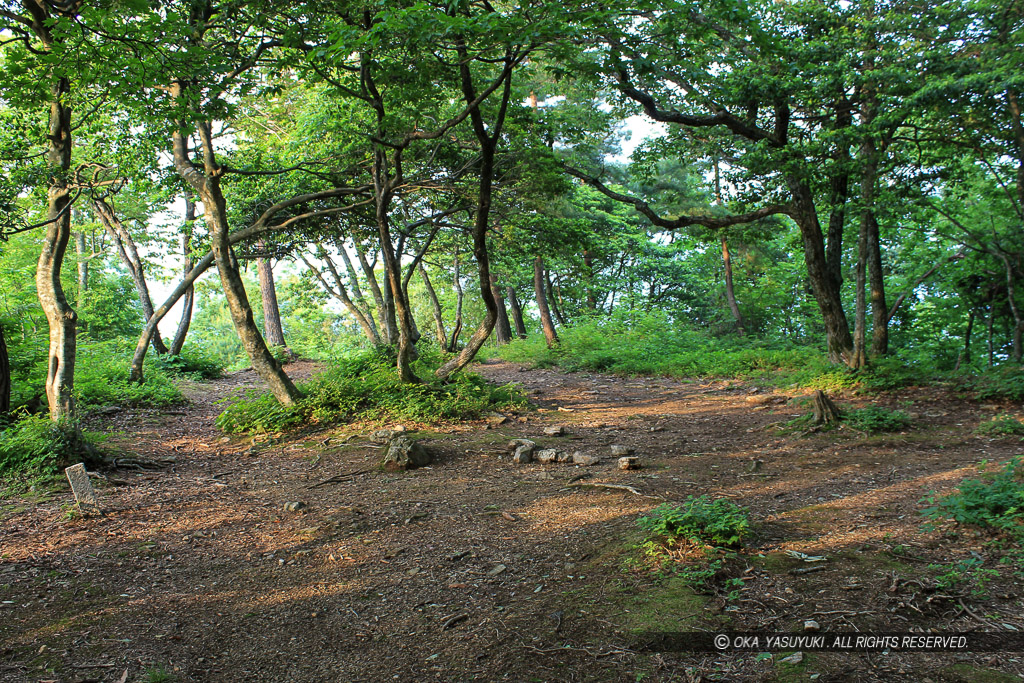 小谷城の山王丸跡