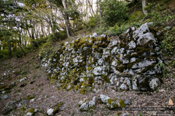 小谷城の山王丸石垣・大石垣｜高解像度画像サイズ：3789 x 2521 pixels｜写真番号：100-0469S53B｜撮影：Canon EOS-1DS