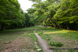 小谷城の千畳敷曲輪・大広間｜高解像度画像サイズ：5435 x 3623 pixels｜写真番号：1P3J6032｜撮影：Canon EOS-1Ds Mark III