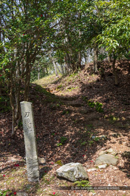 小谷城の刀洗池｜高解像度画像サイズ：5792 x 8688 pixels｜写真番号：5DSA5847｜撮影：Canon EOS 5DS