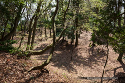 小谷城の小丸跡から京極丸跡を望む｜高解像度画像サイズ：8688 x 5792 pixels｜写真番号：5DSA5875｜撮影：Canon EOS 5DS