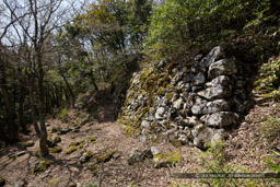 小谷城の大石垣｜高解像度画像サイズ：8688 x 5792 pixels｜写真番号：5DSA5920｜撮影：Canon EOS 5DS