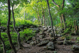 小谷城の山王丸石垣｜高解像度画像サイズ：4272 x 2848 pixels｜写真番号：IMG_0707｜撮影：Canon EOS Kiss X50