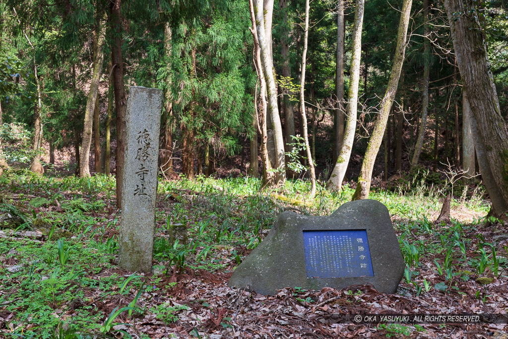 小谷城清水谷の徳勝寺跡