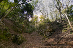 土佐屋敷石垣・清水谷｜高解像度画像サイズ：4064 x 2704 pixels｜写真番号：100-0289S53B｜撮影：Canon EOS-1DS