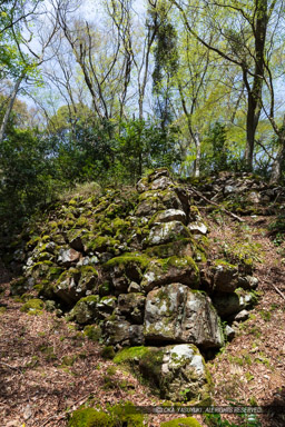 土佐屋敷石垣・清水谷｜高解像度画像サイズ：5792 x 8688 pixels｜写真番号：5DSA6033｜撮影：Canon EOS 5DS