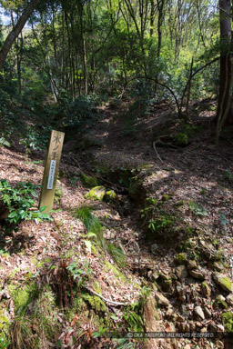 清水谷水ノ手｜高解像度画像サイズ：5792 x 8688 pixels｜写真番号：5DSA6098｜撮影：Canon EOS 5DS