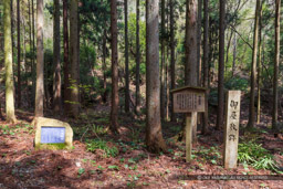 小谷城清水谷の御屋敷跡｜高解像度画像サイズ：8688 x 5792 pixels｜写真番号：5DSA6112｜撮影：Canon EOS 5DS