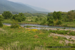 姉川古戦場｜高解像度画像サイズ：5495 x 3664 pixels｜写真番号：1P3J5959｜撮影：Canon EOS-1Ds Mark III