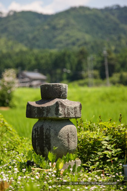 浅井家侍女の墓｜高解像度画像サイズ：3482 x 5224 pixels｜写真番号：1P3J7141｜撮影：Canon EOS-1Ds Mark III