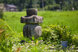 浅井家侍女の墓｜高解像度画像サイズ：5193 x 3462 pixels｜写真番号：1P3J7142｜撮影：Canon EOS-1Ds Mark III