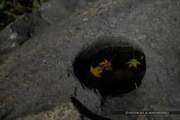 ｜高解像度画像サイズ：4087 x 2725 pixels｜写真番号：VJ7Z0012｜撮影：Canon EOS-1Ds Mark II