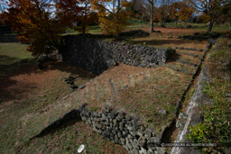｜高解像度画像サイズ：4992 x 3328 pixels｜写真番号：VJ7Z0044｜撮影：Canon EOS-1Ds Mark II