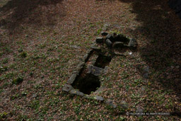 ｜高解像度画像サイズ：4865 x 3243 pixels｜写真番号：VJ7Z0048｜撮影：Canon EOS-1Ds Mark II