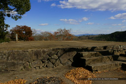 ｜高解像度画像サイズ：4803 x 3202 pixels｜写真番号：VJ7Z0231｜撮影：Canon EOS-1Ds Mark II