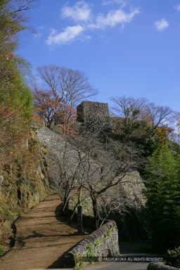 岡城・大分県｜高解像度画像サイズ：3227 x 4841 pixels｜写真番号：VJ7Z9888｜撮影：Canon EOS-1Ds Mark II