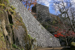 岡城・大分県｜高解像度画像サイズ：4992 x 3328 pixels｜写真番号：VJ7Z9891｜撮影：Canon EOS-1Ds Mark II