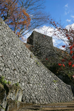 岡城・大分県｜高解像度画像サイズ：3328 x 4992 pixels｜写真番号：VJ7Z9893｜撮影：Canon EOS-1Ds Mark II