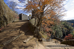 岡城・大分県｜高解像度画像サイズ：4992 x 3328 pixels｜写真番号：VJ7Z9906｜撮影：Canon EOS-1Ds Mark II