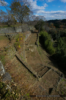 ｜高解像度画像サイズ：3328 x 4992 pixels｜写真番号：VJ7Z9956｜撮影：Canon EOS-1Ds Mark II