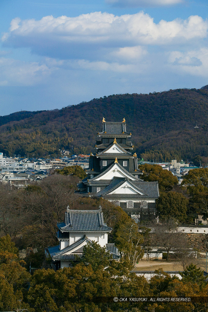 岡山城月見櫓と天守