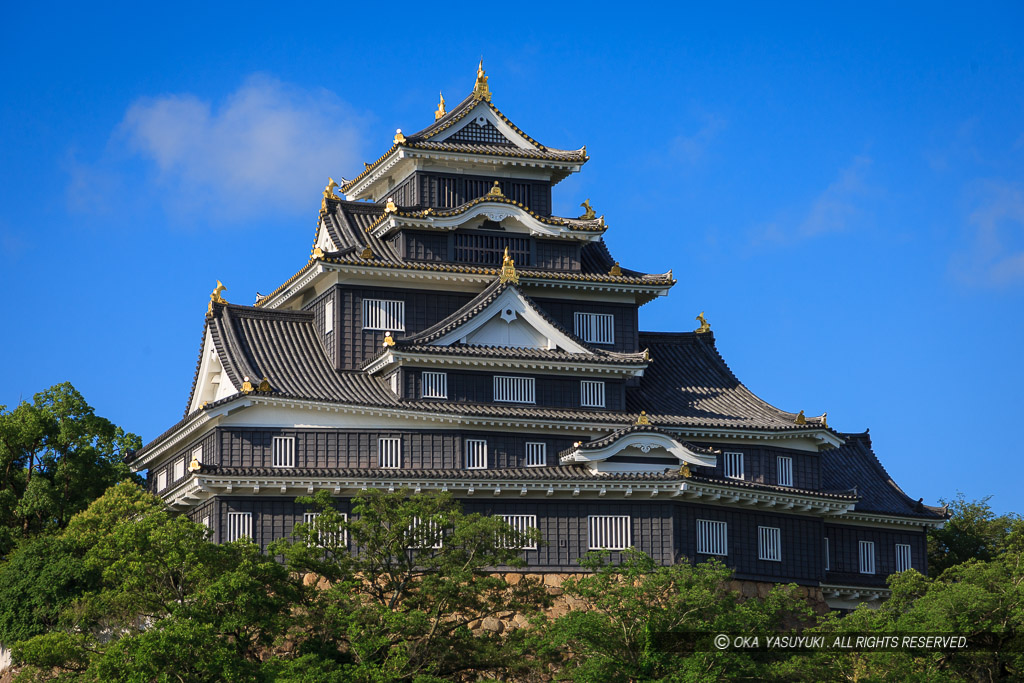 旭川から岡山城天守・夏