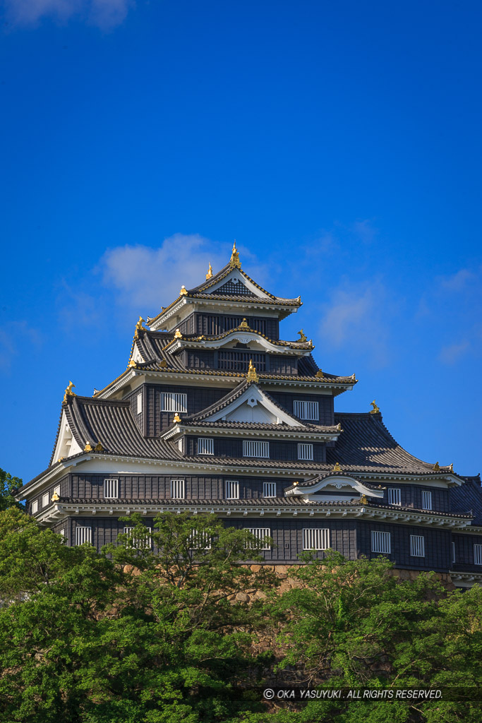 旭川から岡山城天守・夏