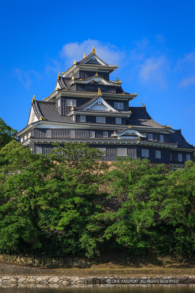 旭川から岡山城天守・夏