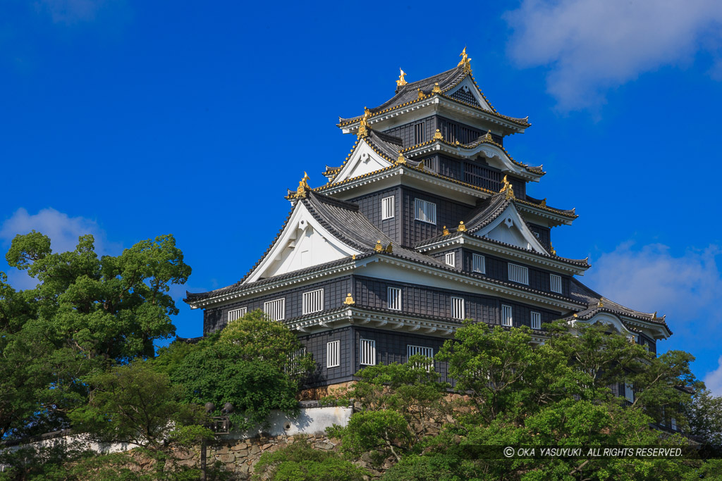 旭川から岡山城天守・夏