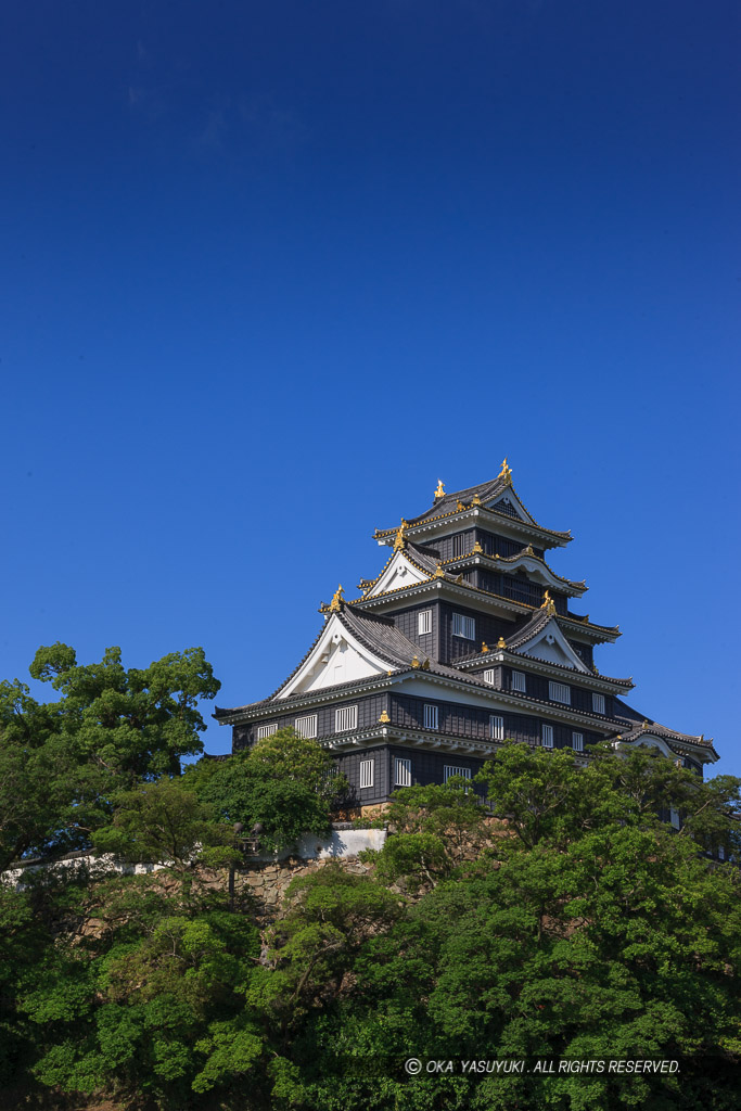 旭川から岡山城天守・夏