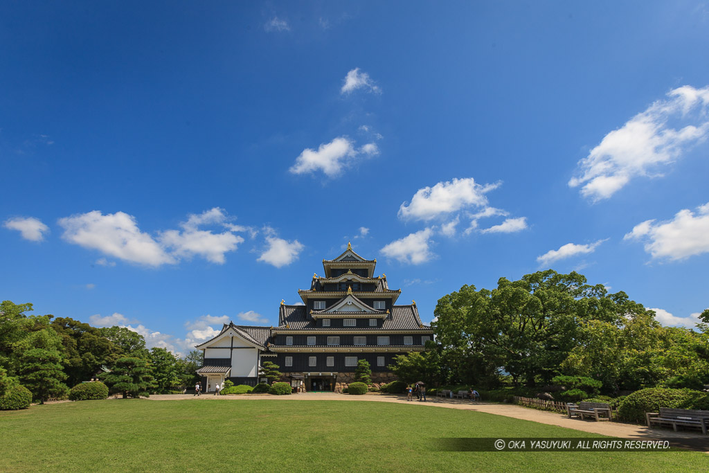 岡山城の夏