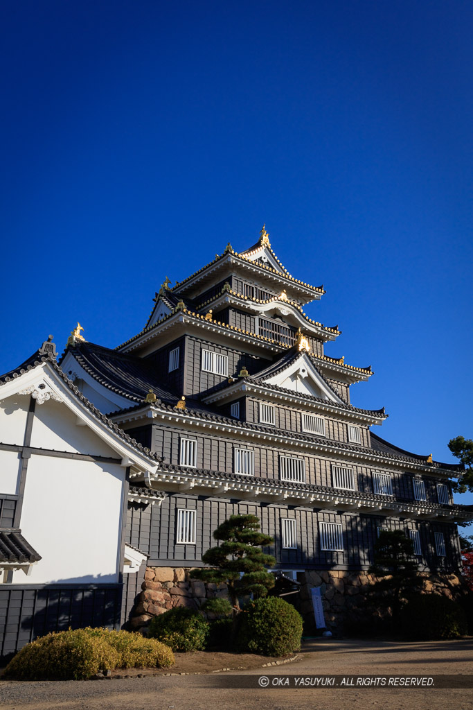 本段から観る岡山城天守