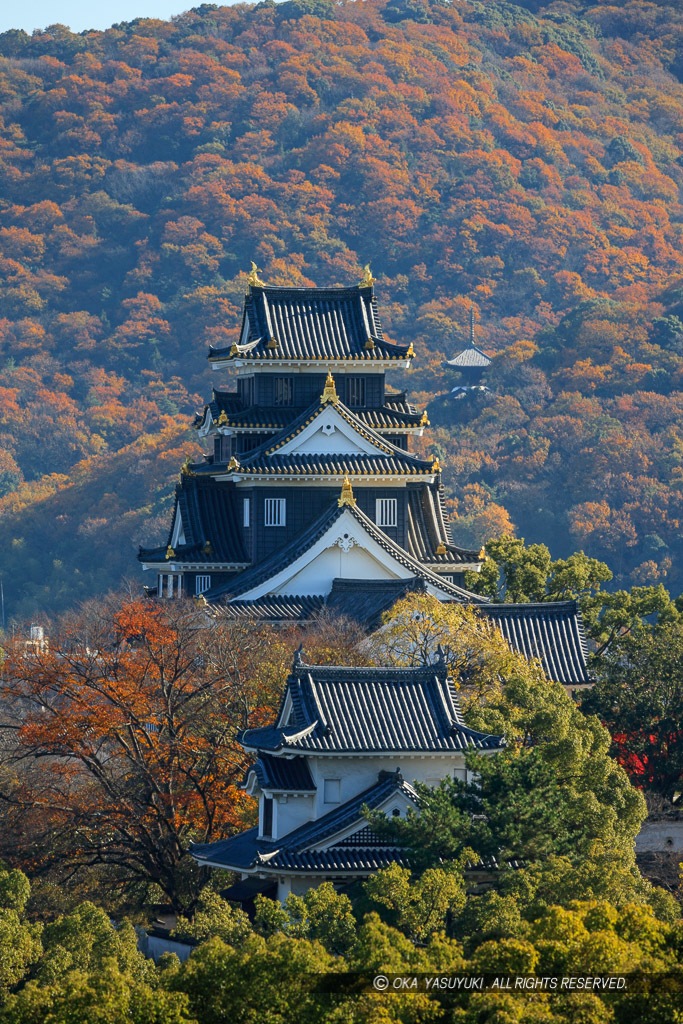 岡山城月見櫓と天守と安住院の多宝塔