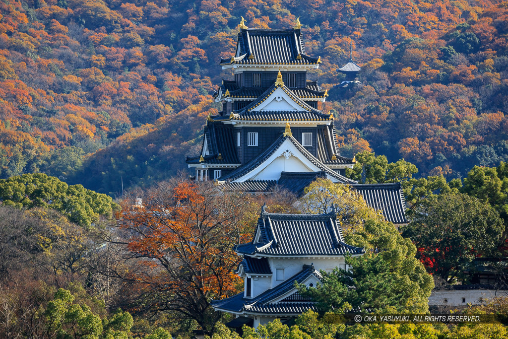 岡山城月見櫓と天守と安住院の多宝塔