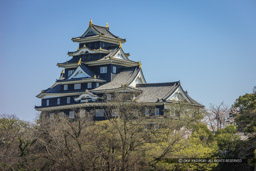 多角形の天守｜高解像度画像サイズ：5230 x 3487 pixels｜写真番号：1P3J0942｜撮影：Canon EOS-1Ds Mark III