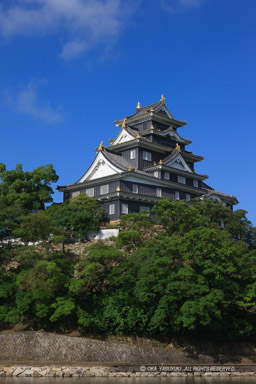 旭川から岡山城天守・夏｜高解像度画像サイズ：3689 x 5534 pixels｜写真番号：1P3J7739｜撮影：Canon EOS-1Ds Mark III