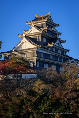 旭川から岡山城天守・秋｜高解像度画像サイズ：5715 x 8572 pixels｜写真番号：5DSA2760｜撮影：Canon EOS 5DS