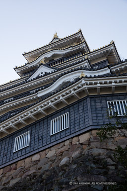 多角形の天守｜高解像度画像サイズ：5792 x 8688 pixels｜写真番号：5DSA3129｜撮影：Canon EOS 5DS