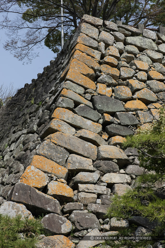 岡山城の中の段石垣