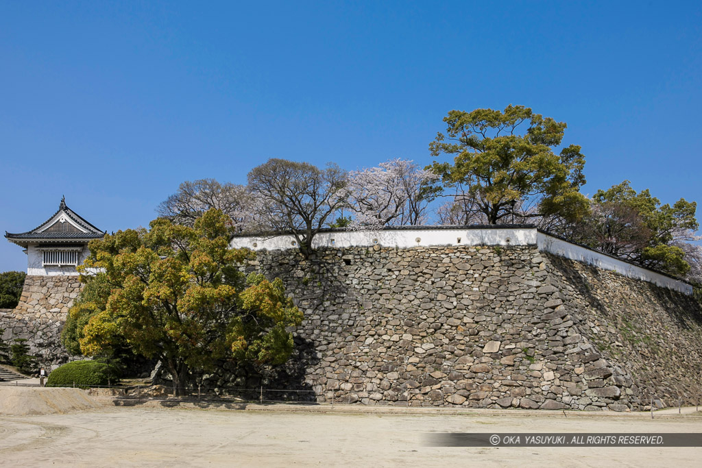 岡山城本段石垣