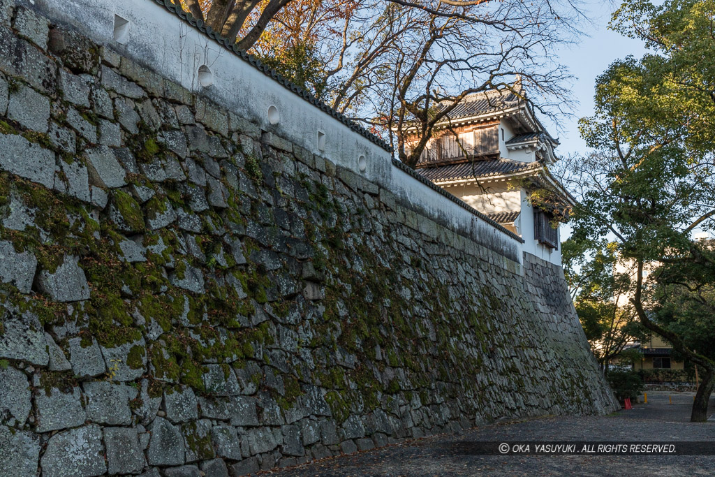 岡山城中の段石垣