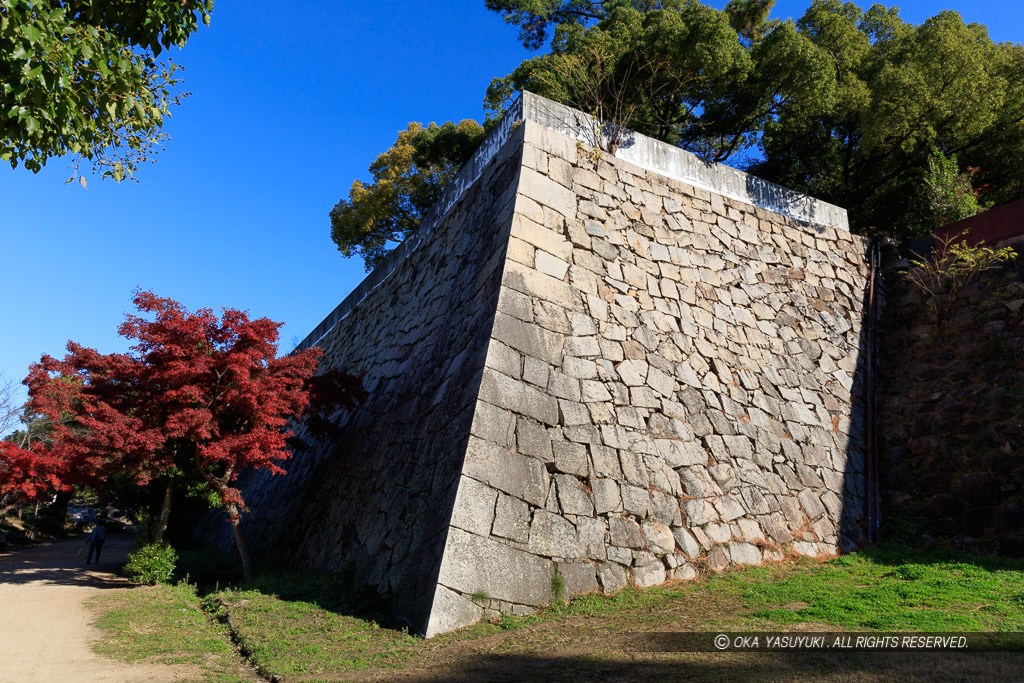 岡山城中の段石垣