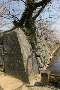 縦石・内下馬門跡｜高解像度画像サイズ：3744 x 5616 pixels｜写真番号：1P3J0764｜撮影：Canon EOS-1Ds Mark III