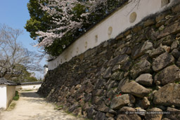 中の段から本段への通路｜高解像度画像サイズ：5430 x 3620 pixels｜写真番号：1P3J0820｜撮影：Canon EOS-1Ds Mark III