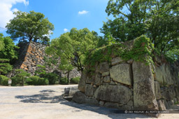 岡山城の内下馬門跡｜高解像度画像サイズ：5616 x 3744 pixels｜写真番号：1P3J8078｜撮影：Canon EOS-1Ds Mark III