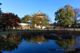 泉水｜高解像度画像サイズ：8625 x 5750 pixels｜写真番号：5DSA2874｜撮影：Canon EOS 5DS