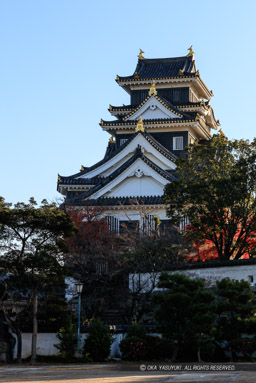 中の段から天守｜高解像度画像サイズ：4671 x 6993 pixels｜写真番号：5DSA2878｜撮影：Canon EOS 5DS